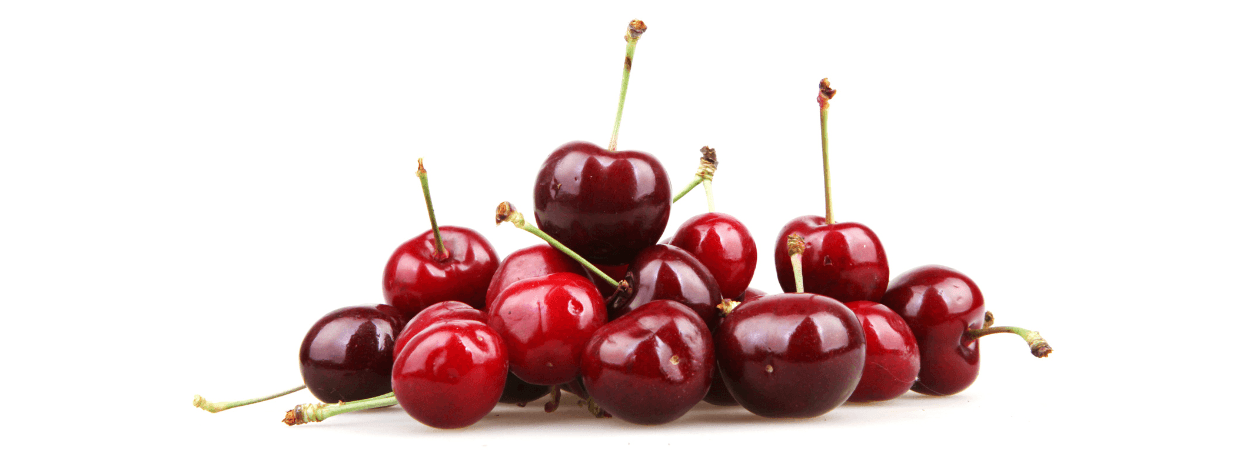 Blog (1250 x 450 px) (1).png
