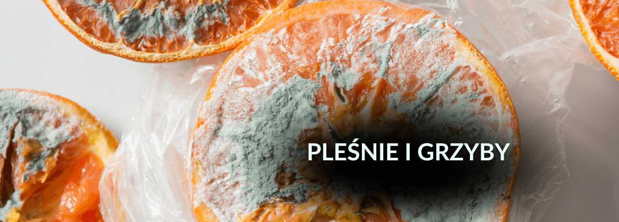 Pleśnie i grzyby.png