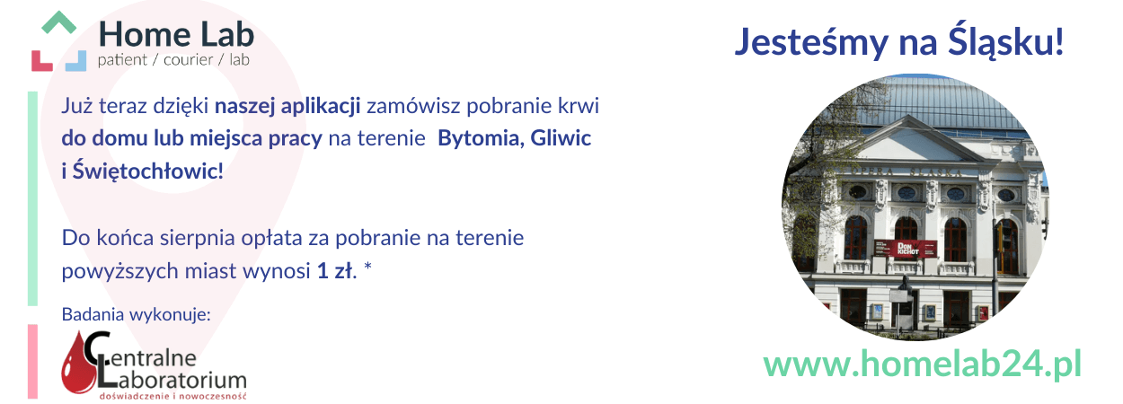 Pobrania w domu Śląsk.png