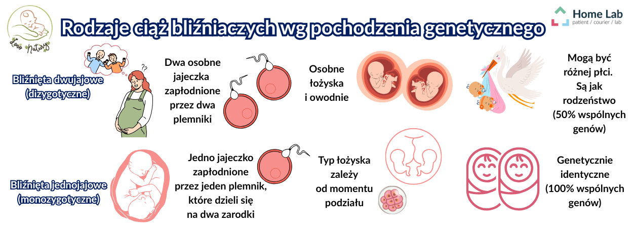 artykuł poród bliźniaczy rodzaje bliźniąt.png