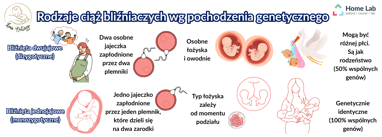 rodzaje bliźniąt.png